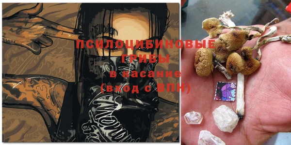 COCAINE Арсеньев